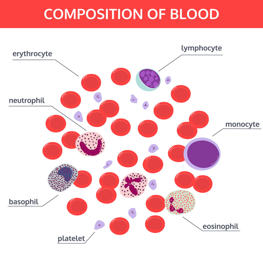 cardiovascular-nature-journals