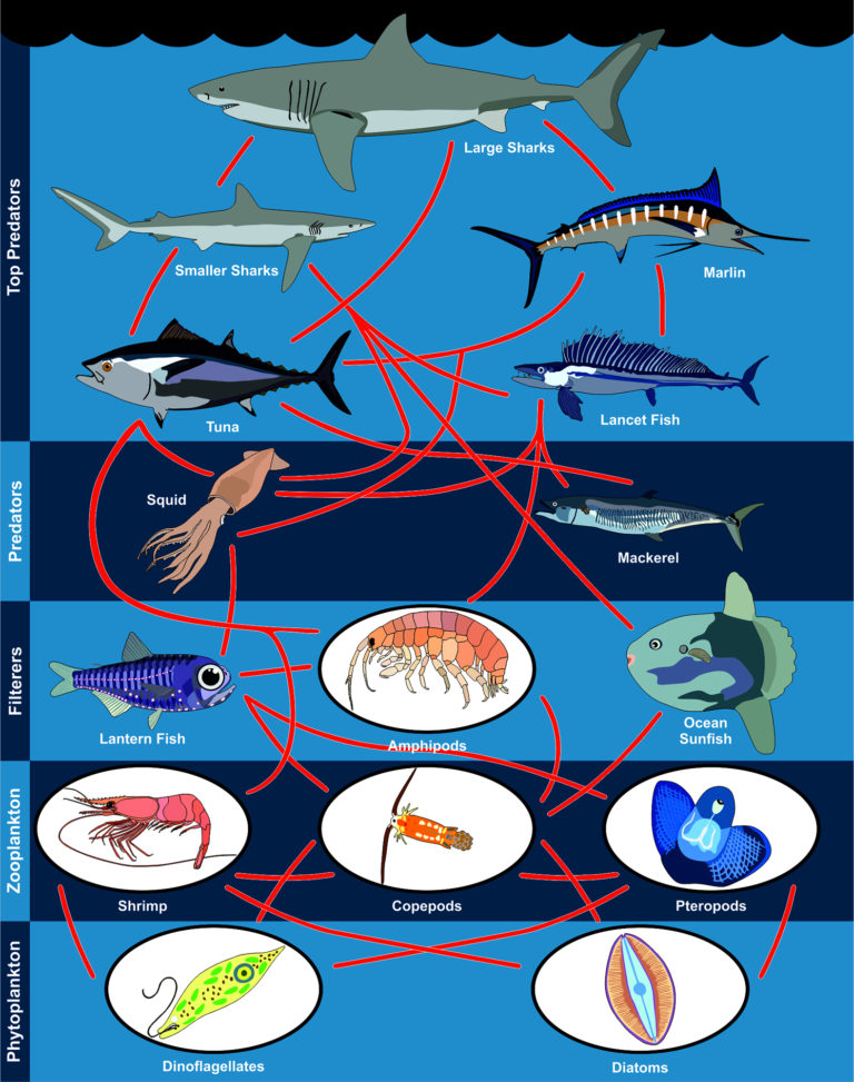 Marine Producers Nature Journals
