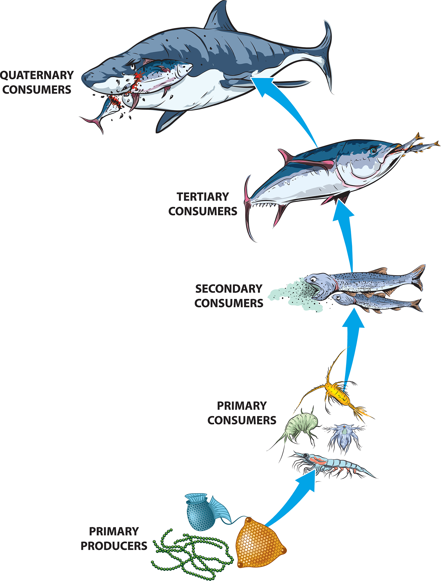 marine-producers-nature-journals