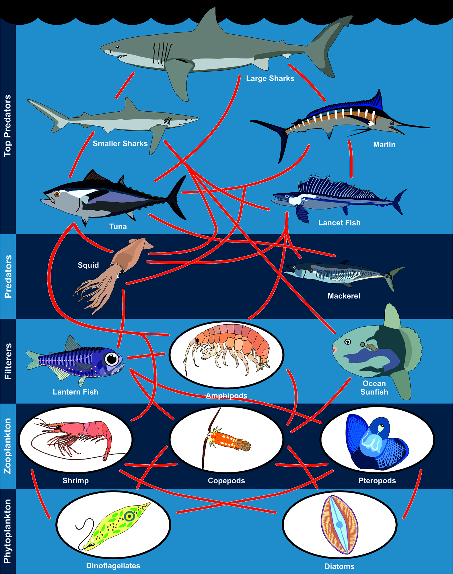 5d1-marine-producers-nature-journals