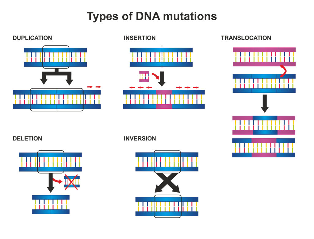 mutations nature journals