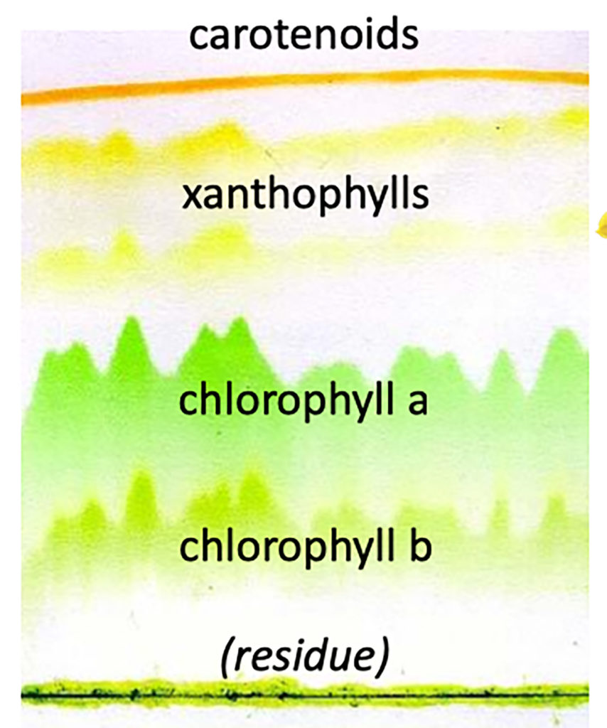 2a1 Atmosphere