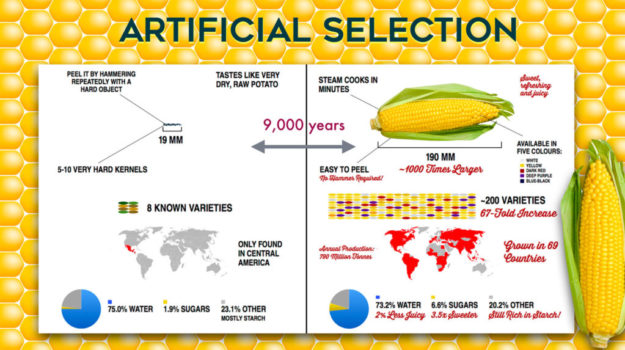 artificial-selection-nature-journals