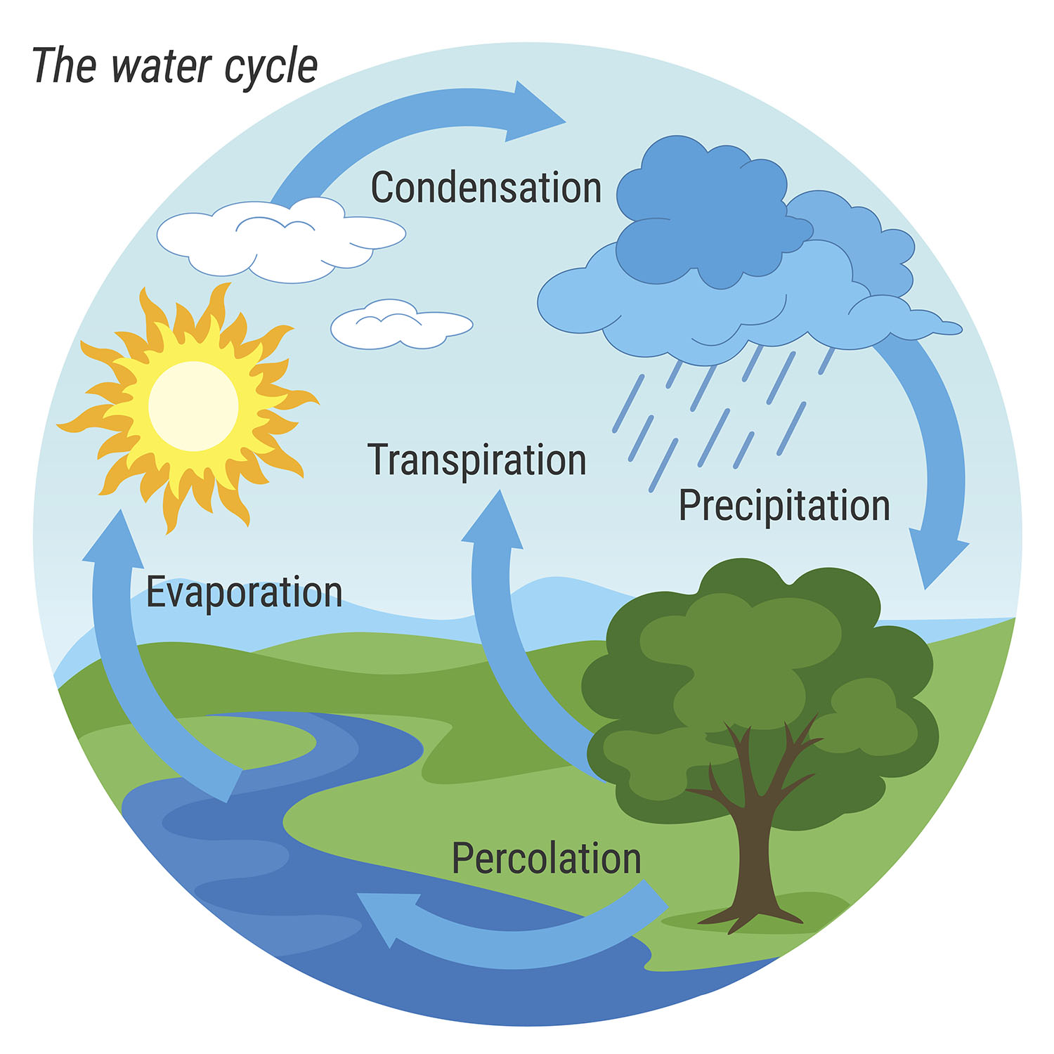 water-cycle-drawing-at-getdrawings-free-download