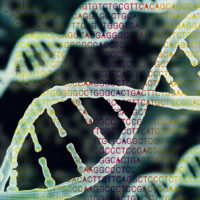 Traits are passed on from one generation to the next, usually encoded within DNA molecules.