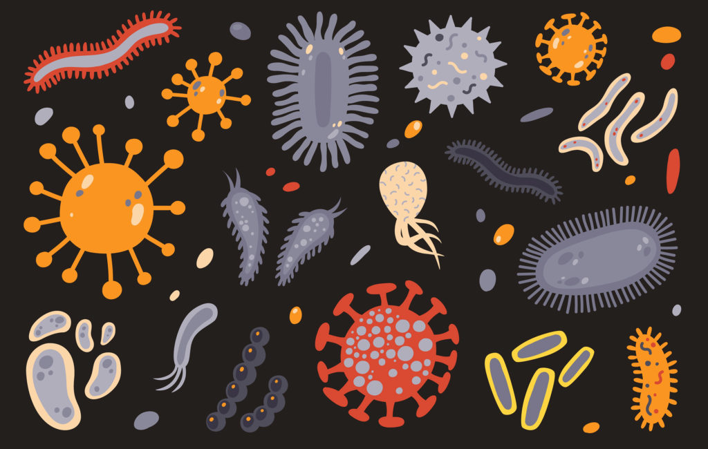 microbes