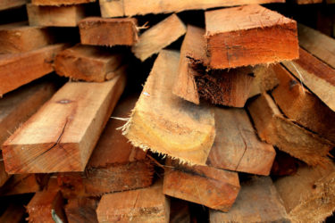 Softwood refers to wood from gymnosperm tree species (typically conifers). Examples: pine, fir, cedar