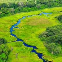 Rivers are often bordered by wetlands.  During flood events, the wetlands can absorb much of the extra water.  When wetlands are removed around rivers, flooding extends further away from the river banks, causing more extensive damage.