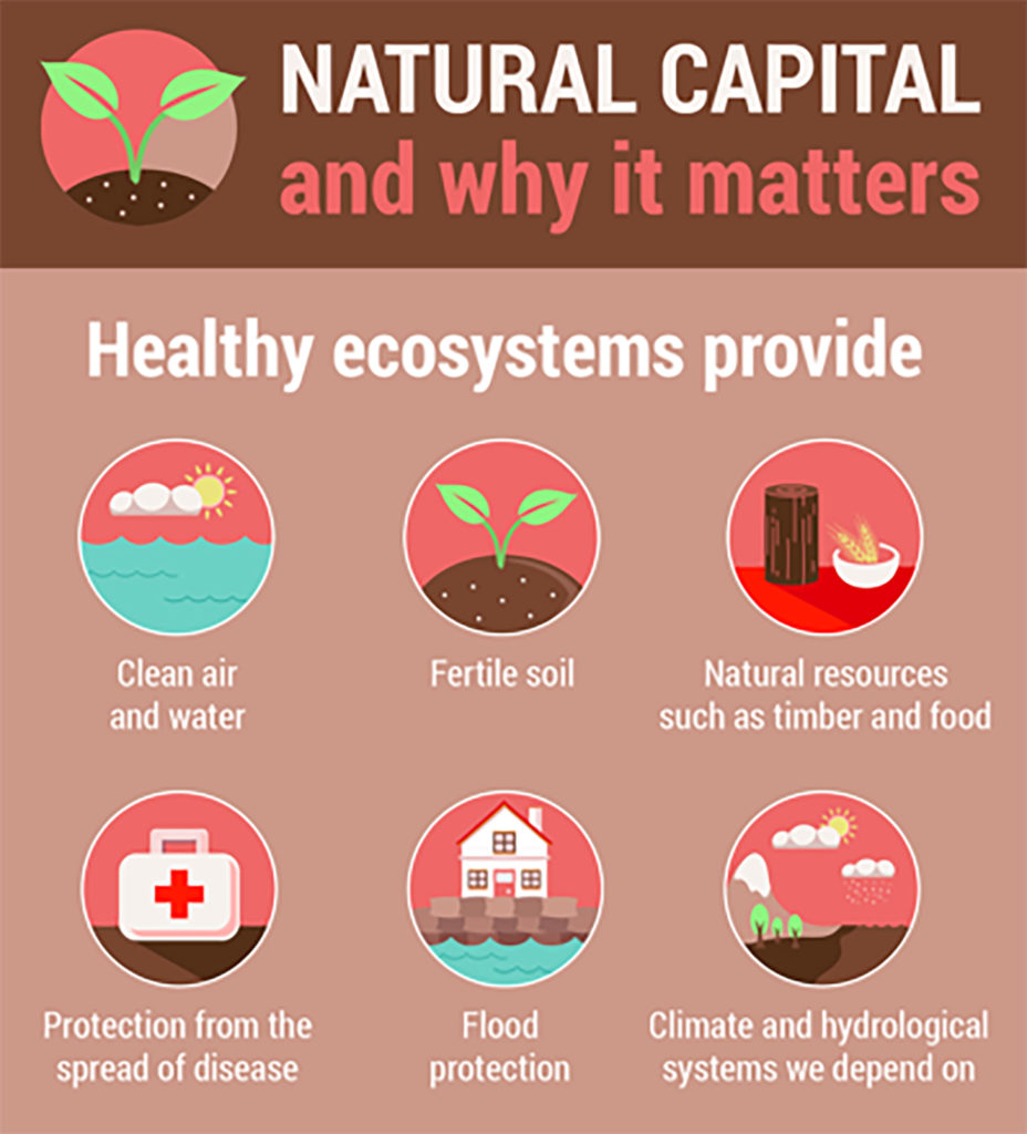 natural capital