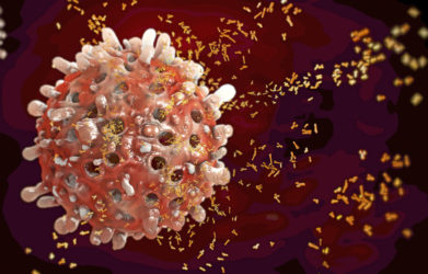 A type of lymphocyte called the "plasma B cell" learns to produce antibodies that stick to the antigens on the surface of pathogens.  This will be covered in the next section.