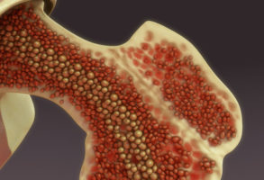 The bone marrow produces white blood cells and each cell can destroy pathogens in different ways.