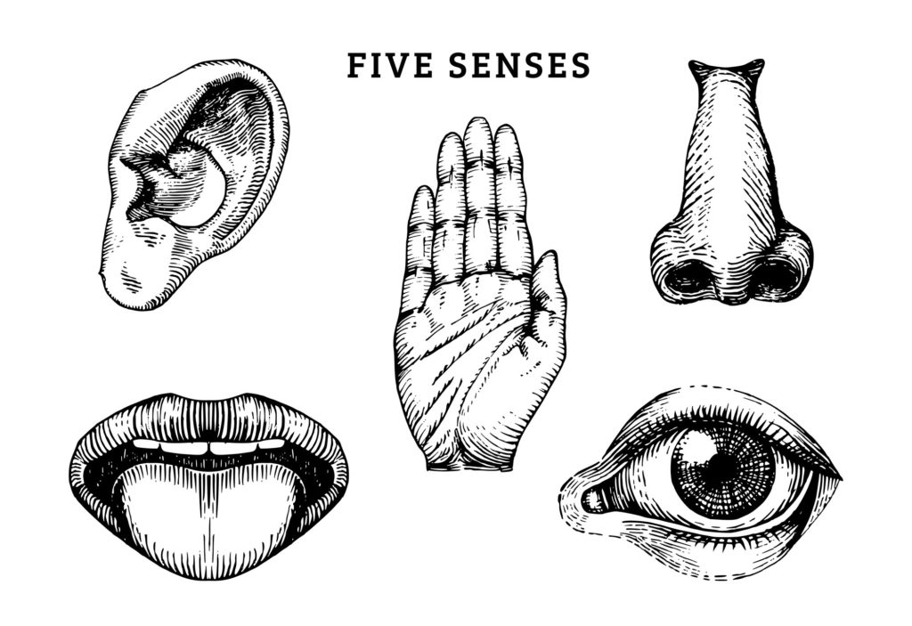 senses five