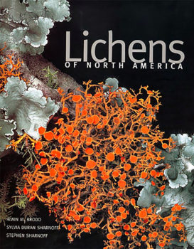 booklichens