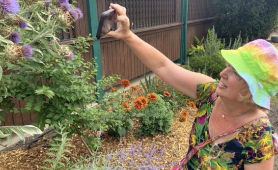 Many of the photos in these first few week's of class were taken in our yard, on campus, at the Oregon Garden, or at last year's Benton County Fair's Master Gardener Display.