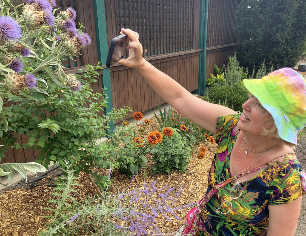 Many of the photos in these first few week's of class were taken in our yard, on campus, at the Oregon Garden, or at the 2019 Benton County Fair's Master Gardener Display.