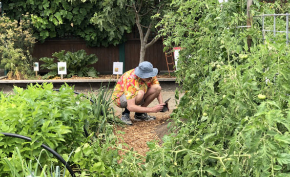 Mark is moving in close to get a detailed garden photo. Whenever possible, get on the same level as your subject for a new perspective.