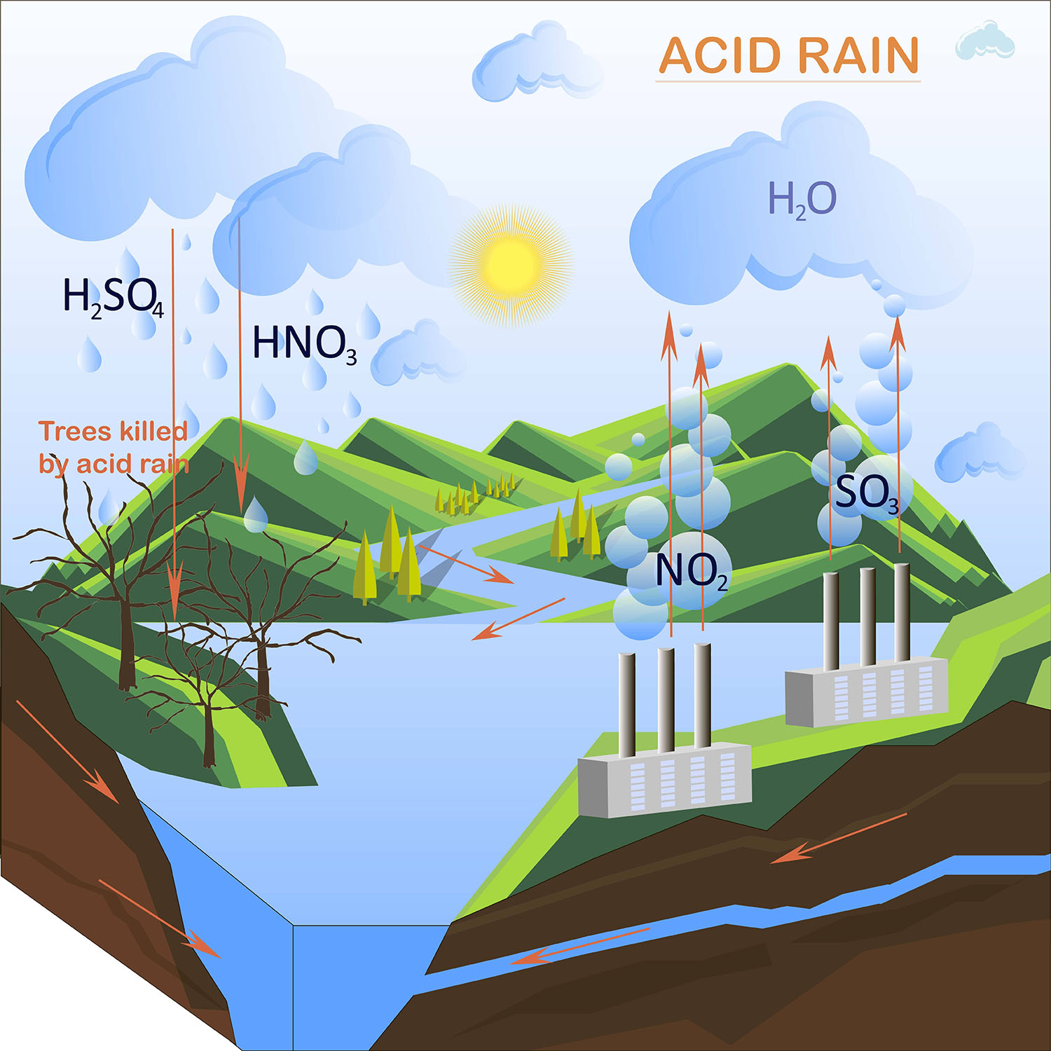 Nutrient Cycles – Nature Journals