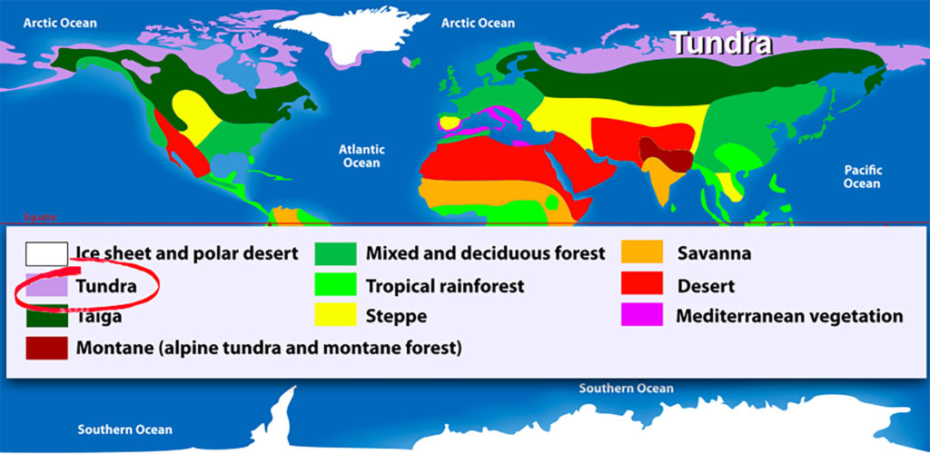tundra map
