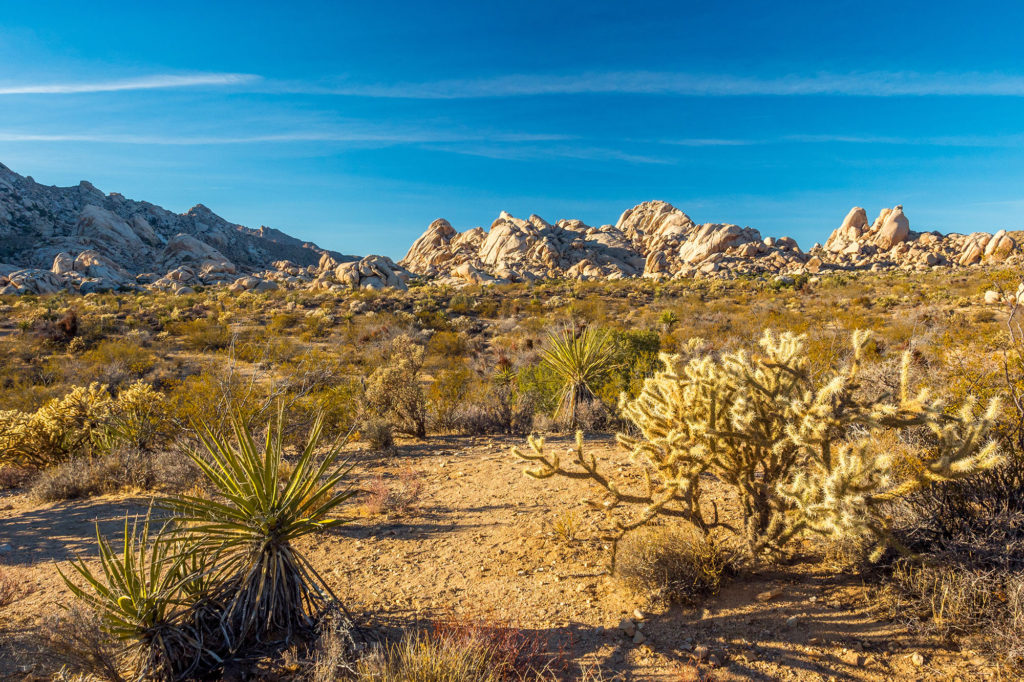 desert semiarid