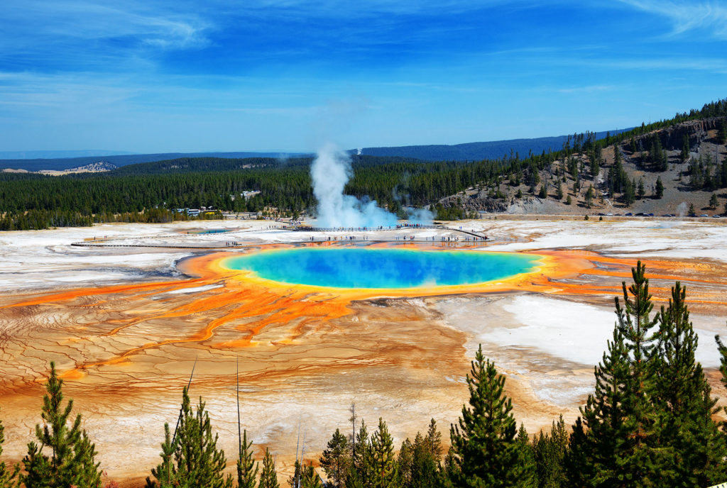 prismatic springs